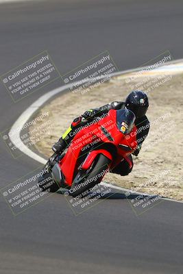 media/Jul-13-2025-Pacific Track Time (Sun) [[819660bca7]]/A Group/11am (Turn 2)/